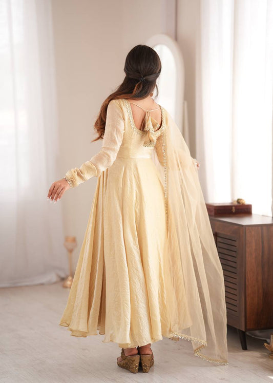 Doremon Crush Mirror Work Gown Set Party Wear