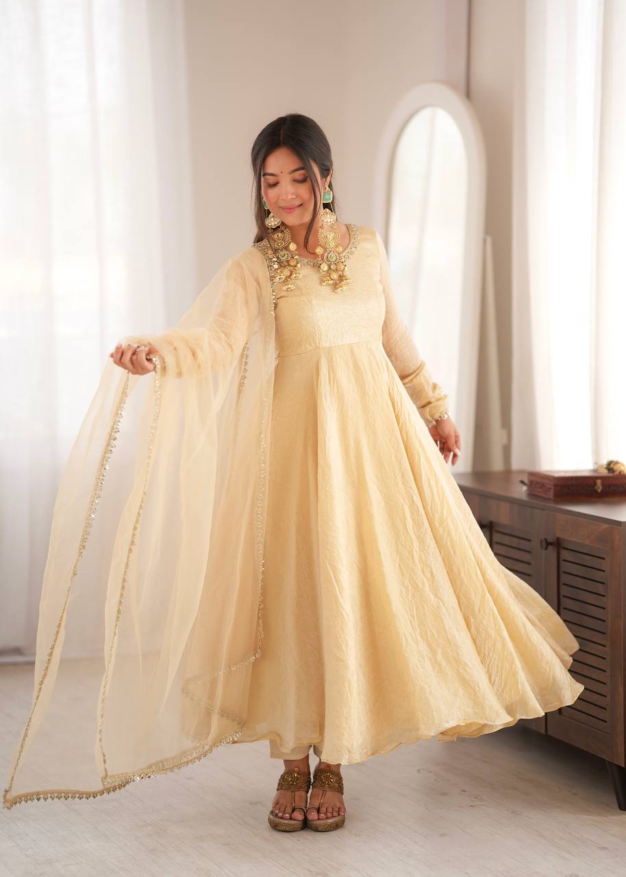 Doremon Crush Mirror Work Gown Set Party Wear