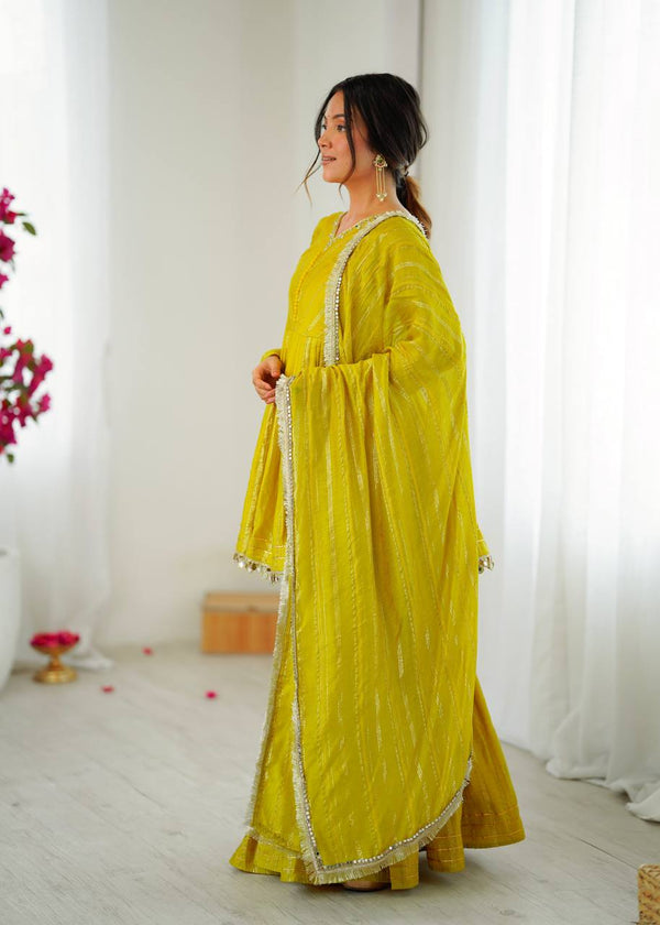 Noorika Mirror Work Chanderi Sharara Set