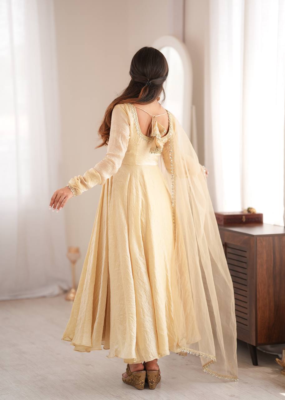 Doremon Crush Mirror Work Gown Set Party Wear