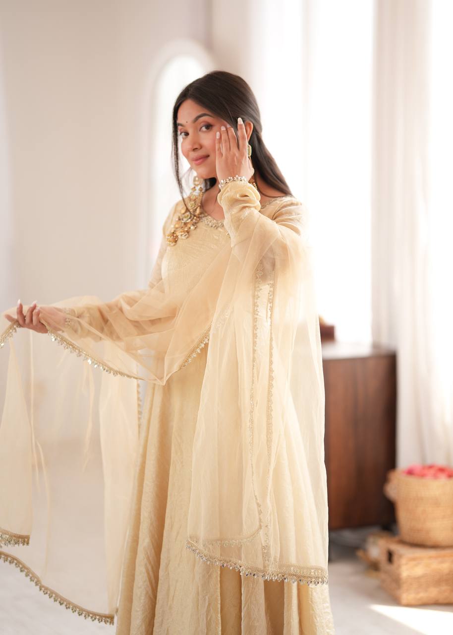 Doremon Crush Mirror Work Gown Set Party Wear
