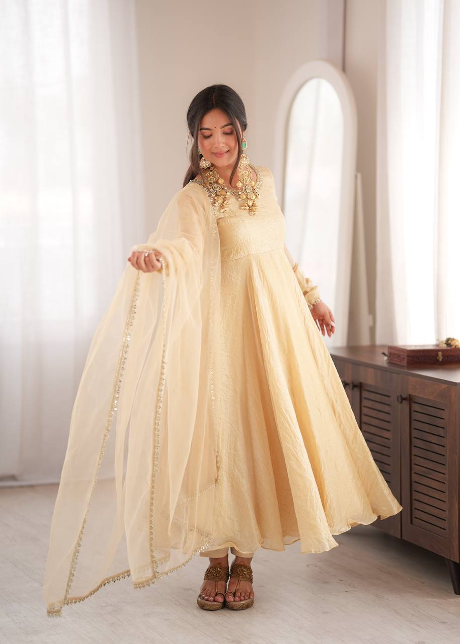 Doremon Crush Mirror Work Gown Set Party Wear