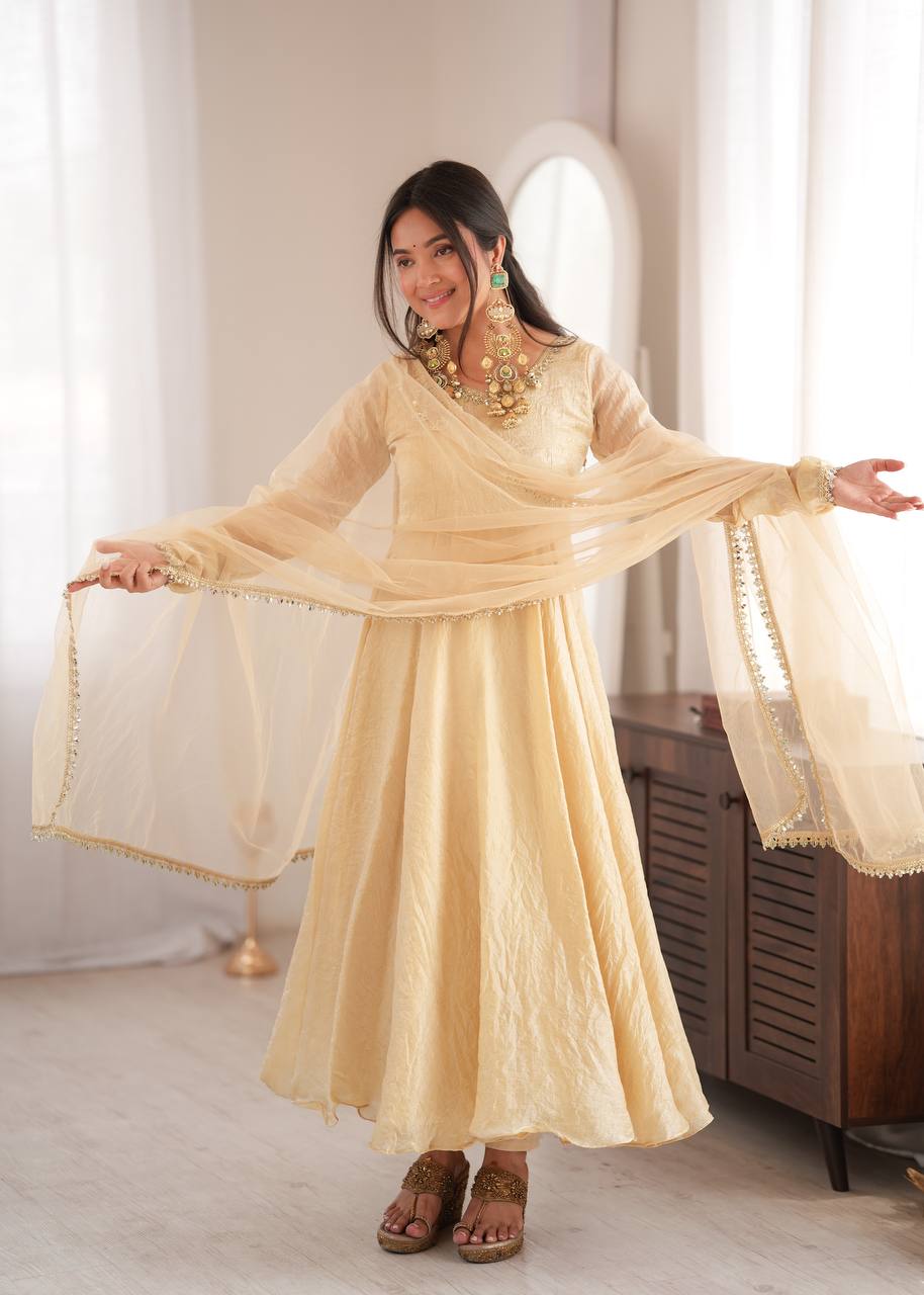 Doremon Crush Mirror Work Gown Set Party Wear