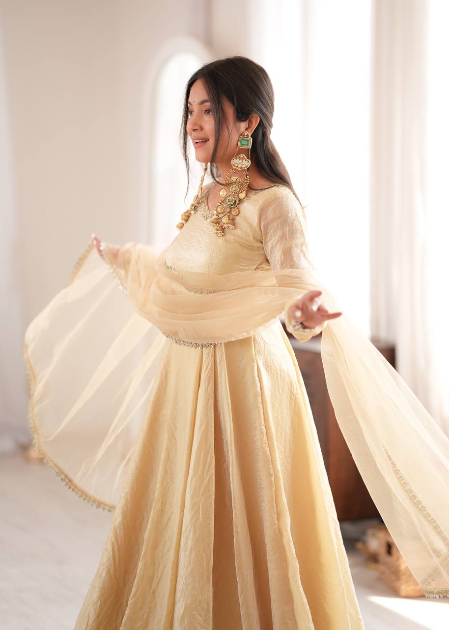 Doremon Crush Mirror Work Gown Set Party Wear