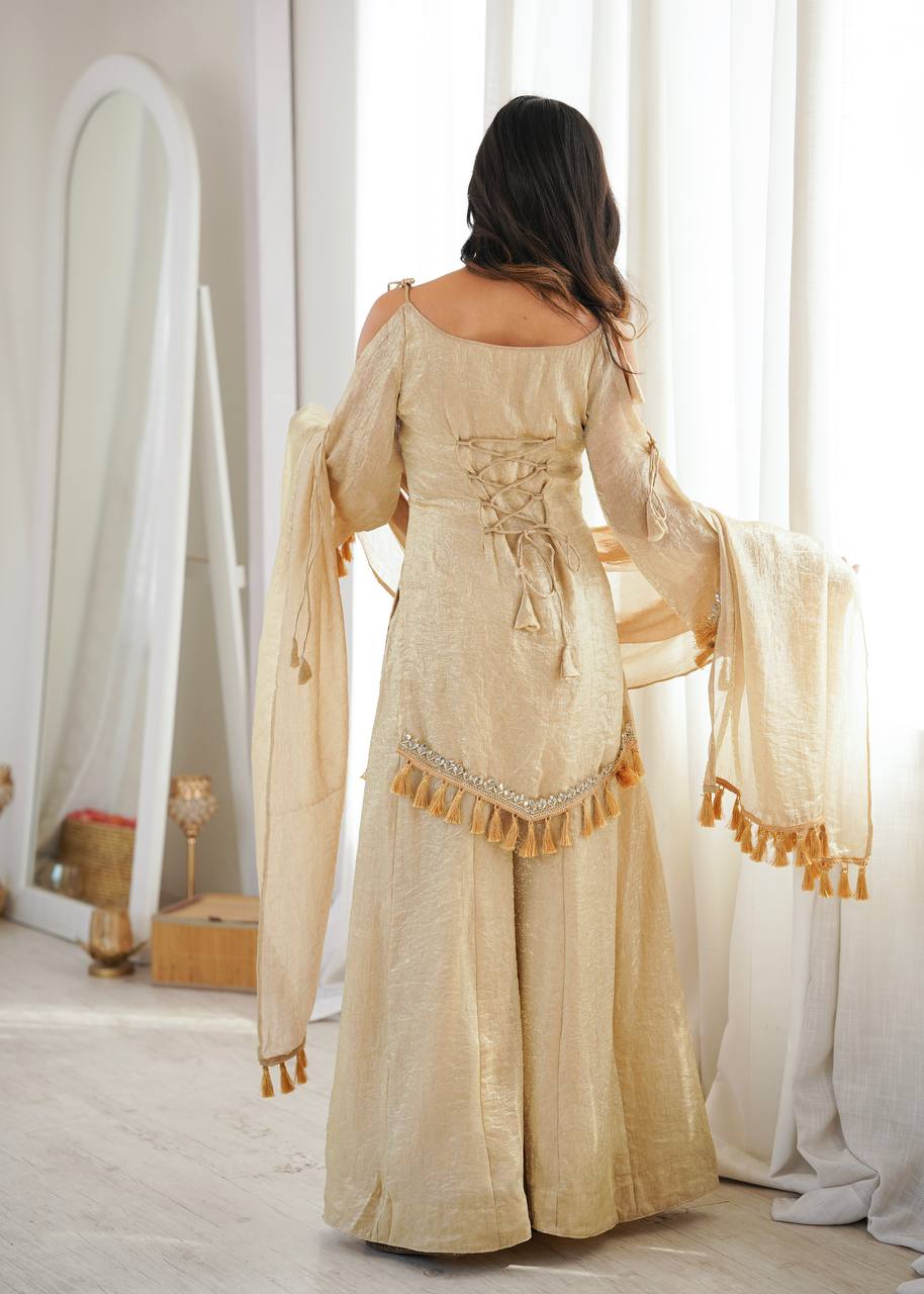 Doremon Crush Mirror Work Plazzo Suit Set